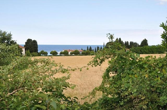 Bungalow Leo Savudrija Buitenkant foto